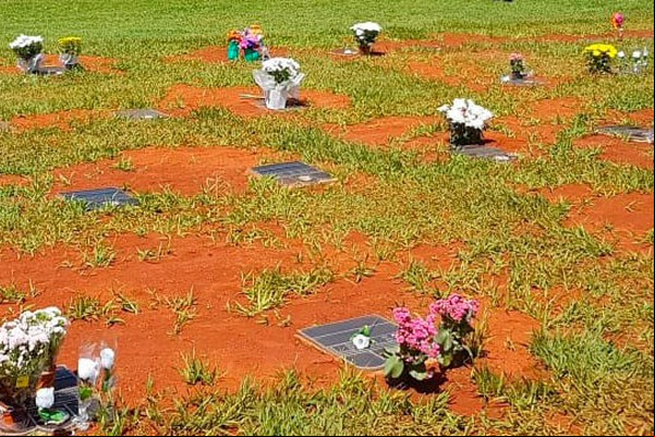 Patos de Minas a a marca de 300 óbitos por Covid-19 com todos os leitos ocupados; Prefeito Falcão fala sobre mortes