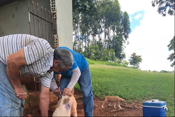 Vigilância em Saúde detecta raiva em bovino encontrado morto em Patos de Minas