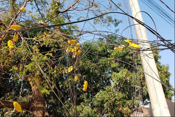 Cemig anuncia que retirou 3,6 toneladas de cabos de telecom irregulares em postes neste ano