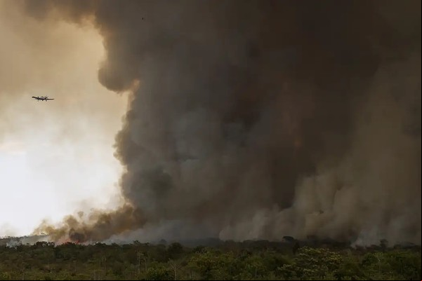 Fogo avança e queima 700 hectares do Parque Nacional de Brasília
