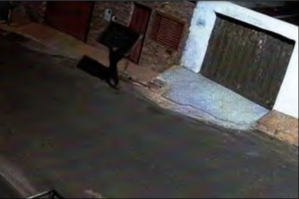 MP denuncia homem que foi flagrado carregando TV da sede da Máfia Azul em Patos de Minas
