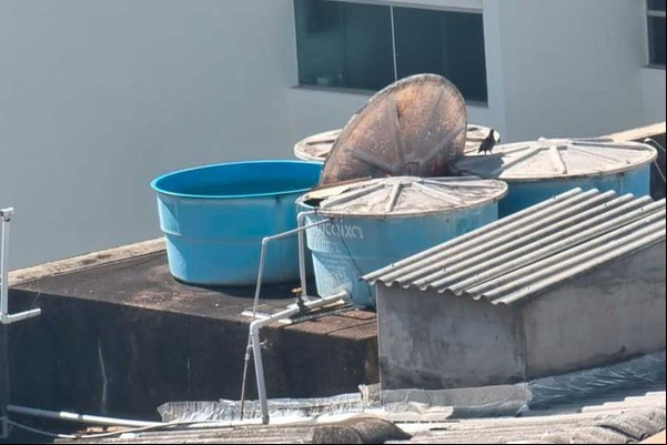 Número de mortes por dengue sobe para três em Patos de Minas e autoridades alertam