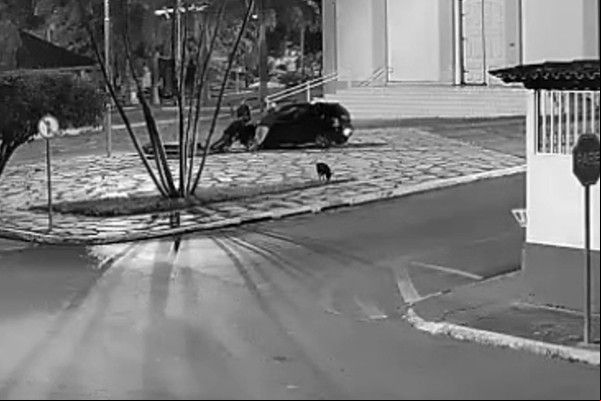 Carro bate em cheio em Cruzeiro no Centro de Rio Paranaíba e monumento religioso fica intacto; veja