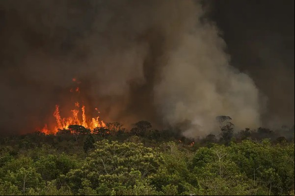 Incêndios podem ter afetado mais de 11 milhões de pessoas no Brasil