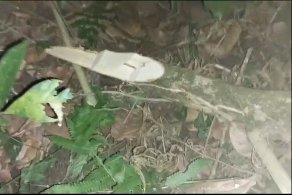 Moradores denunciam destruição de mata ciliar do Córrego “Buracão” na região de Areado
