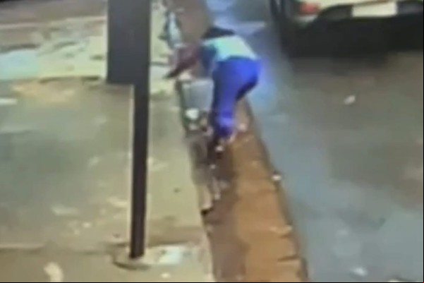 Vídeo mostra motorista arrancando bolsa de idosa e a deixando no chão; ele pagou fiança