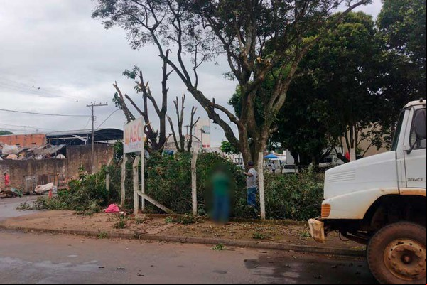 Para prevenir desordem, PM intermedia poda de árvores na região do Galpão do Produtor