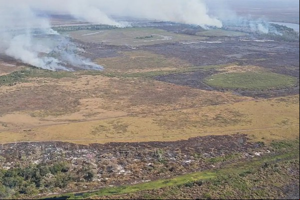 Emissão de gases por incêndios é recorde em dois estados