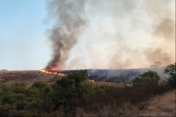 Incêndios florestais se multiplicam em Patos de Minas e deixam o Corpo de Bombeiros em alerta
