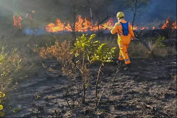 MPF e MP recomendam que PM e Bombeiros adotem medidas para identificar autores de incêndios criminosos em MG