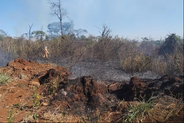 Homem flagrado com fósforos após incendiar Mata do Catingueiro é denunciado pelo MP
