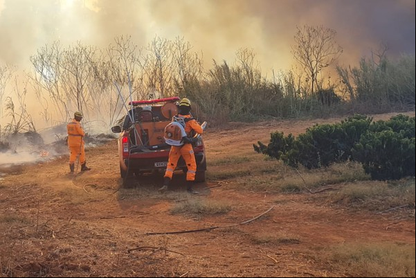 Bombeiros contêm incêndio e impedem que chamas atingissem granja às margens da BR352