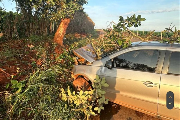 Motorista morre após bater em árvore na estrada de o a Campo Alegre, em Lagoa Formosa