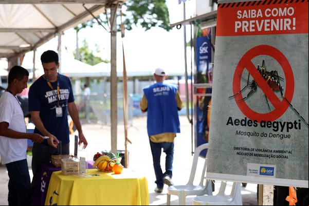 Casos de dengue no Brasil caem 60% nas primeiras semanas do ano