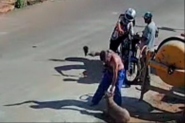 Vídeo que mostra cadela sendo espancada causa revolta em Lagoa Formosa e homem acaba preso