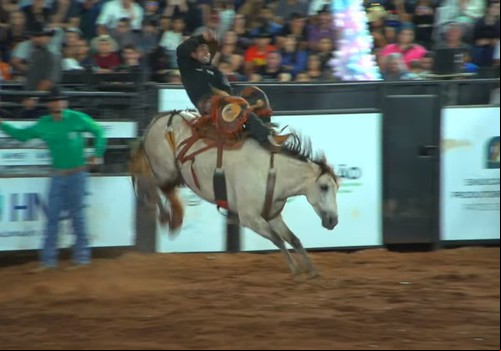 Atual campeão do Rodeio Fenamilho controla animal e garante liderança; veja ao vivo
