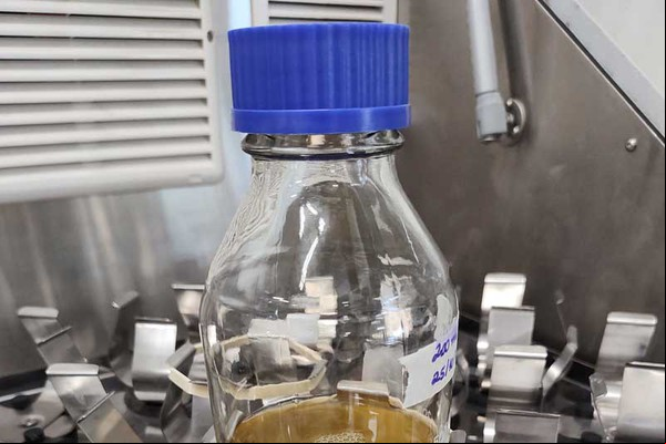 Laboratório da UFU Patos de Minas vai desenvolver bactéria transgênica inseticida