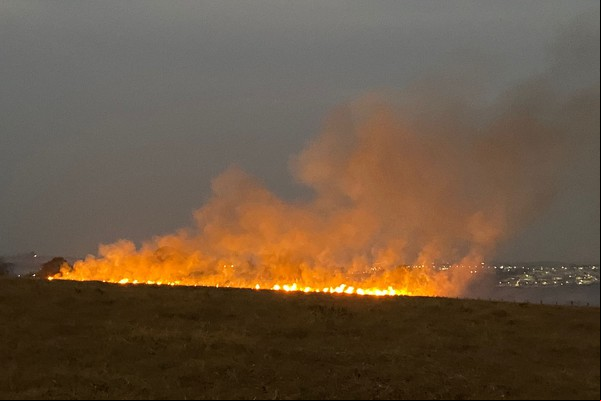 Moradores se revoltam com mais um incêndio florestal de grandes proporções em Patos de Minas