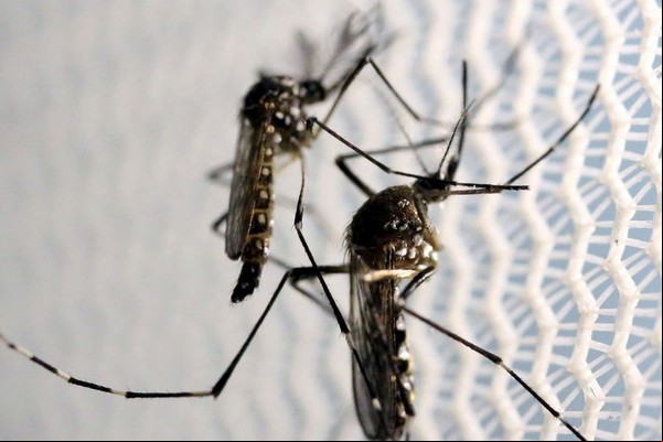Patos de Minas confirma 214 casos de dengue em uma semana e alerta continua