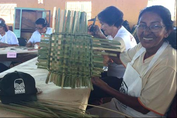 Marias Artesãs aprendem a incorporar Paineira-de-Brejo em suas peças artesanais