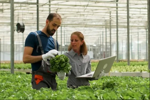 Bolsas de R$ 5 mil: Sebrae Minas vai selecionar agentes para o programa ALI Rural na região